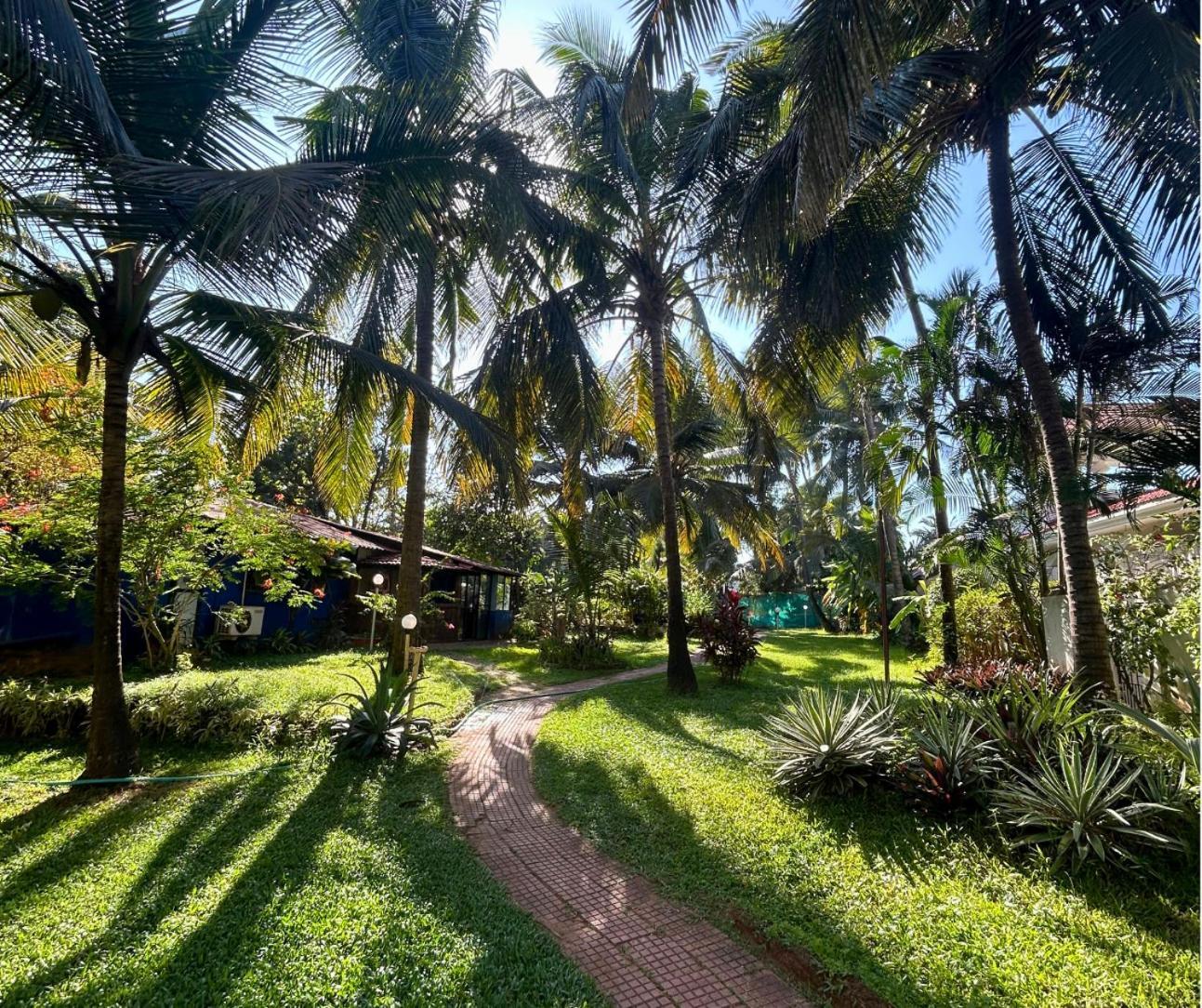 Jungle Hut-Annabelle'S Beach Apartments At Bernard Simao,Calangute,Goa Candolim Dış mekan fotoğraf